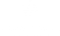 Valentis Advisors Pvt Ltd